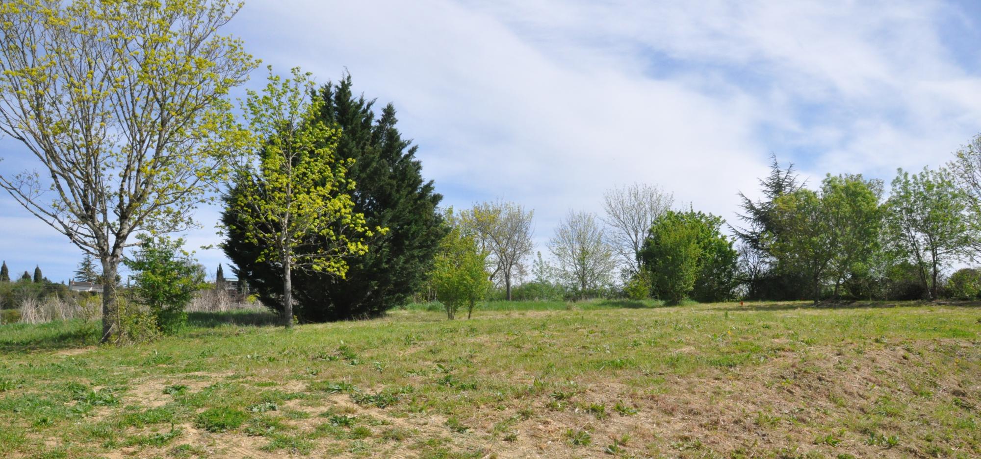 Chemin de la Jumenterie - Terrains à vendre à Vigoulet-Auzil près de Toulouse